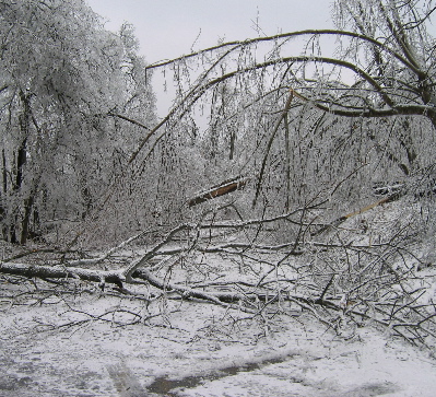 Ice Storm